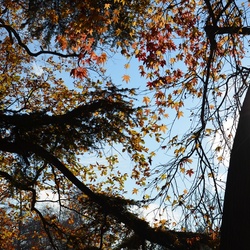 2016-12-10 Bordeaux/City center/DSC_0012.JPG